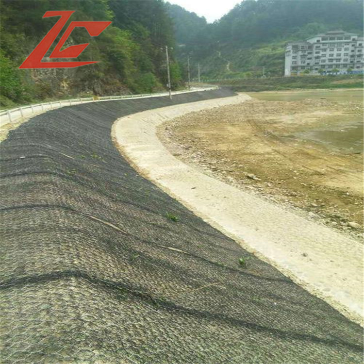 1609463706336067087.jpg 1609463706336067087.jpg