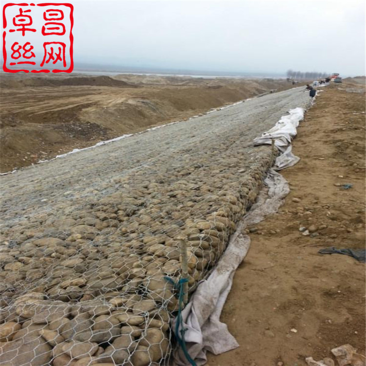 1619919007005037192.jpg 卓昌 (475).jpg