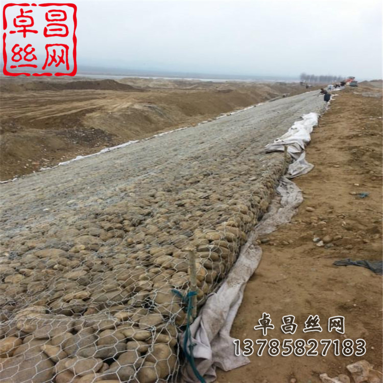 卓昌 (475).jpg