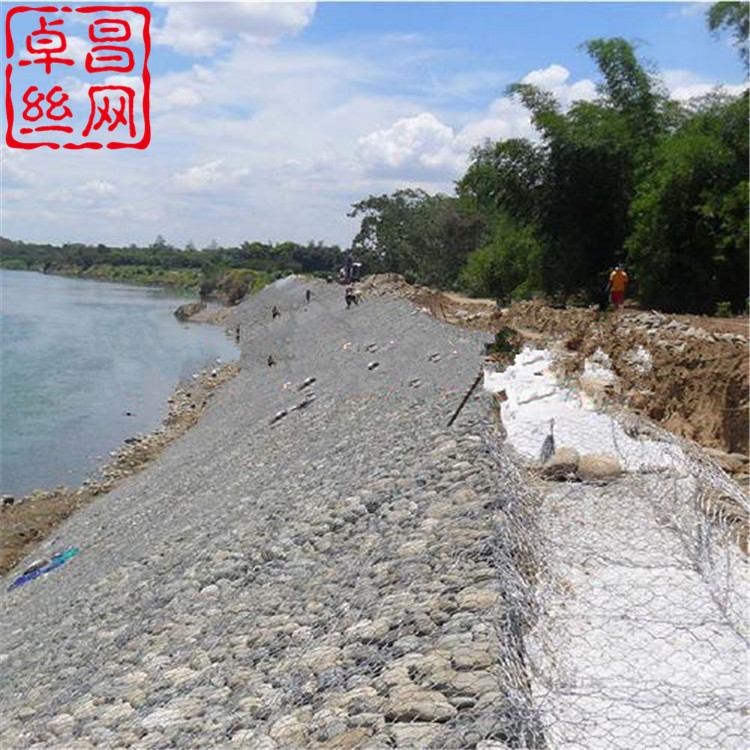 卓昌 (268).jpg