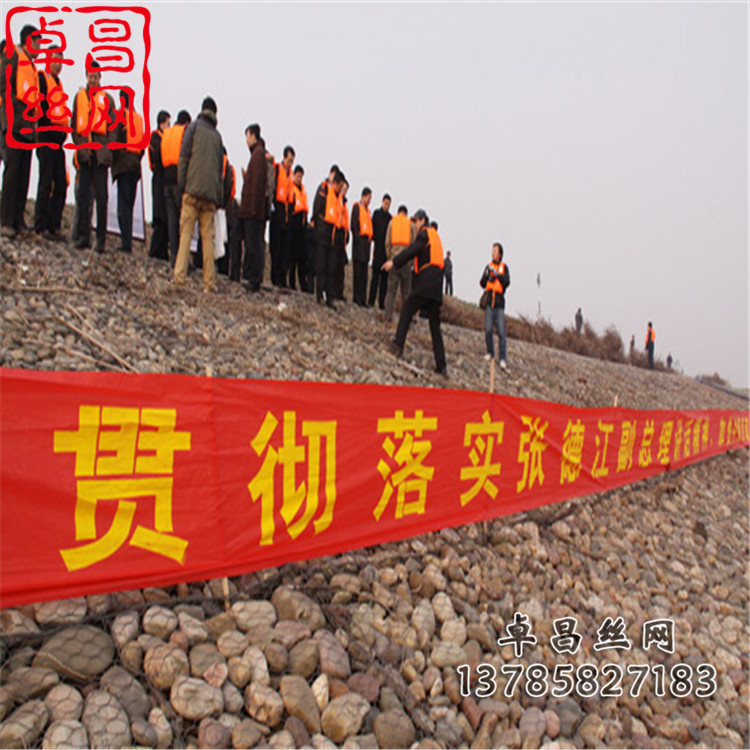 卓昌 (522).jpg