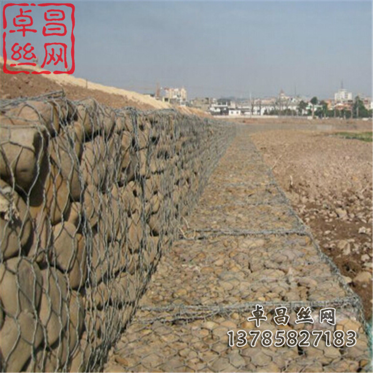 1662515712422077177.jpg 1158.jpg