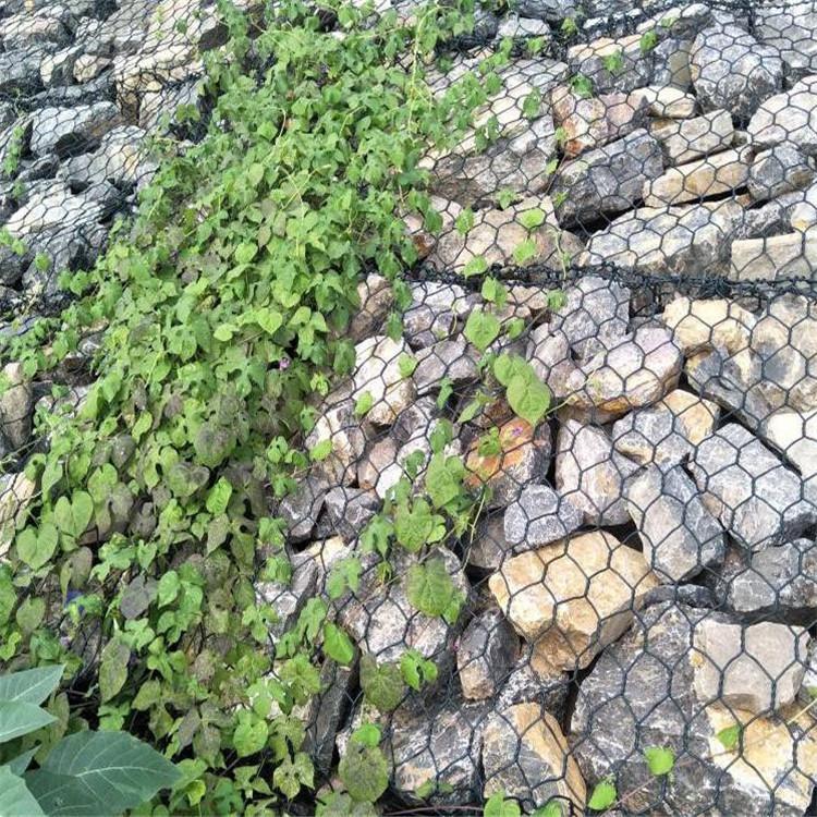 1678240656161037203.jpg 1784(352).jpg